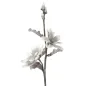 MAGNOLIA X2 SZARA Ø 25X98 MIN 12 cm